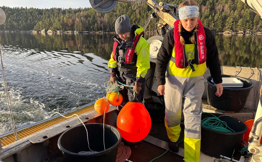 To kvinner står bak på en båt