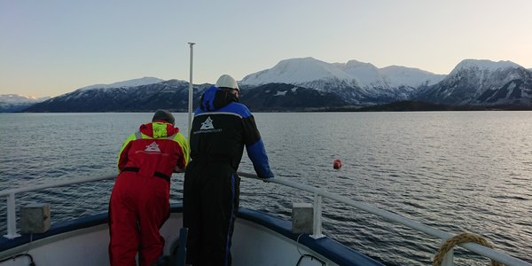 

brattstrom hardangerfjorden vinter