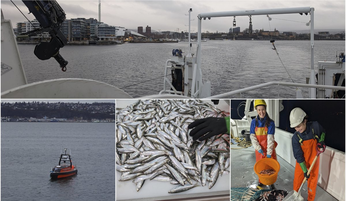 Kollasj av ulike toktbilder