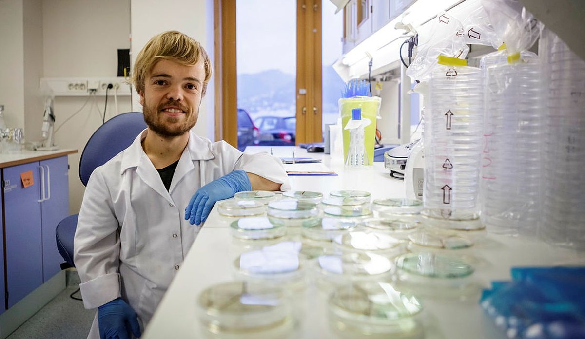 Foto av mann på lab med petriskåler