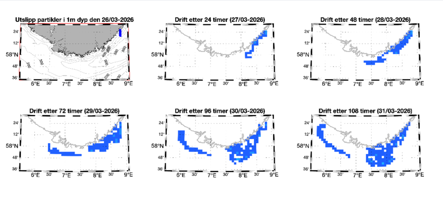 driftmodell viser at algen sprer seg sørover