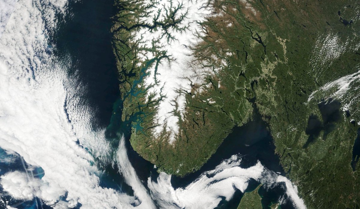 
Satellittbilde som viser Sør-Norge med tydelig grønnfarge i enkelte fjorder.