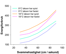 grafe over laksens energiforbruk