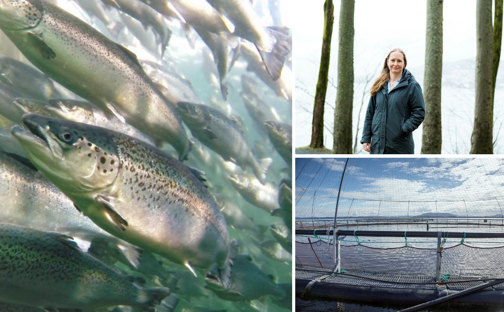 Kollasj av tre bilder. Det ene viser fisk i oppdrettsmerd, et viser et oppdrettanlegg og de siste er et portrett av en kvinne som står ute