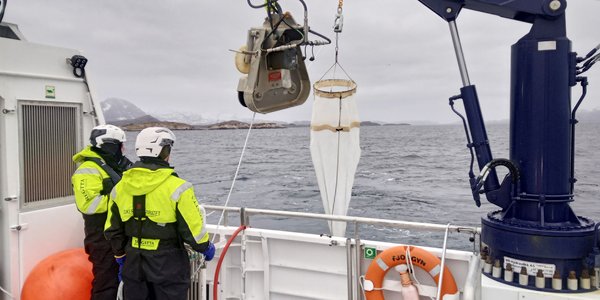 

Bildet viser arbeidsdekket på båten der to personer holder på å heise opp egg-håven.