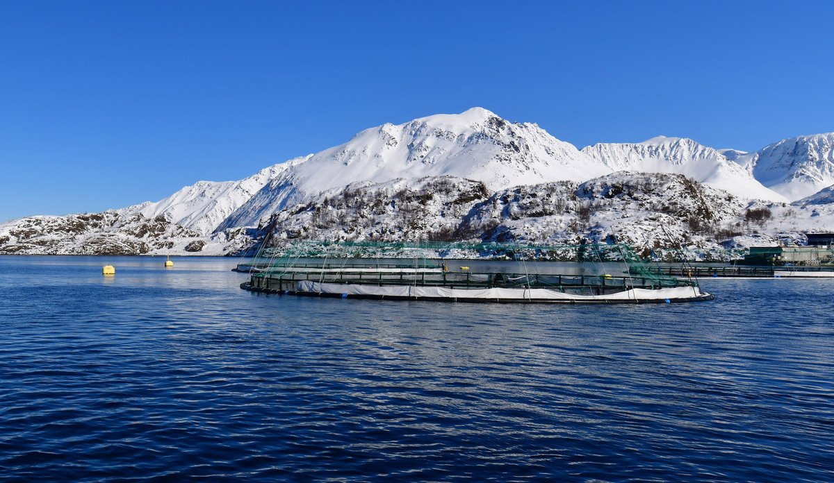 
Landskapsbilde av et oppdrettsanlegg i Nord-Norge. Merden ligger på en mørkeblå fjord, i bakgrunnen møter snøhvite fjelltopper en klar blå himmel. 