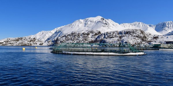 

Landskapsbilde av et oppdrettsanlegg i Nord-Norge. Merden ligger på en mørkeblå fjord, i bakgrunnen møter snøhvite fjelltopper en klar blå himmel. 