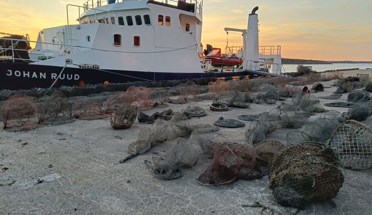 
fishing gear on a dock with a ship in the background, in sunset 