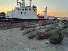 mange rekker med teiner på kaia med skip i bakgrunnen i solnedgang