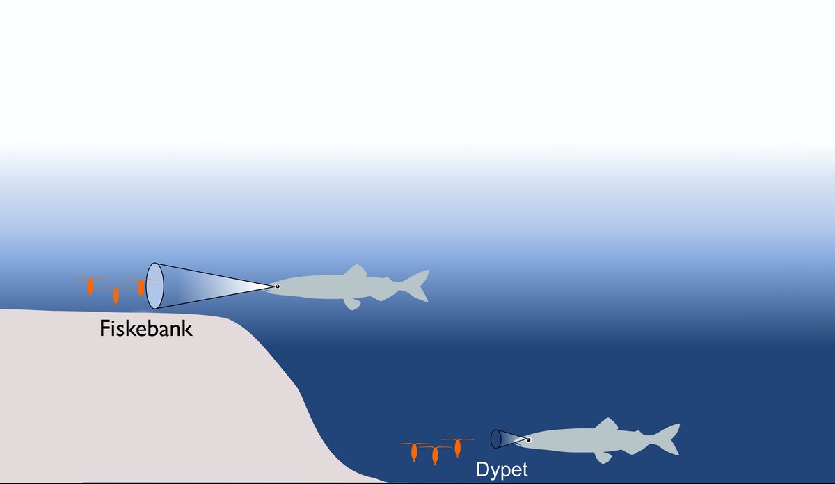 
fiskebank