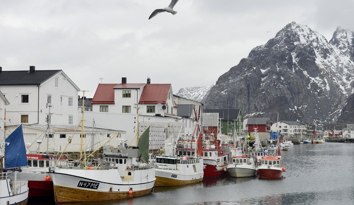 
fjord i nord arrangementbilde