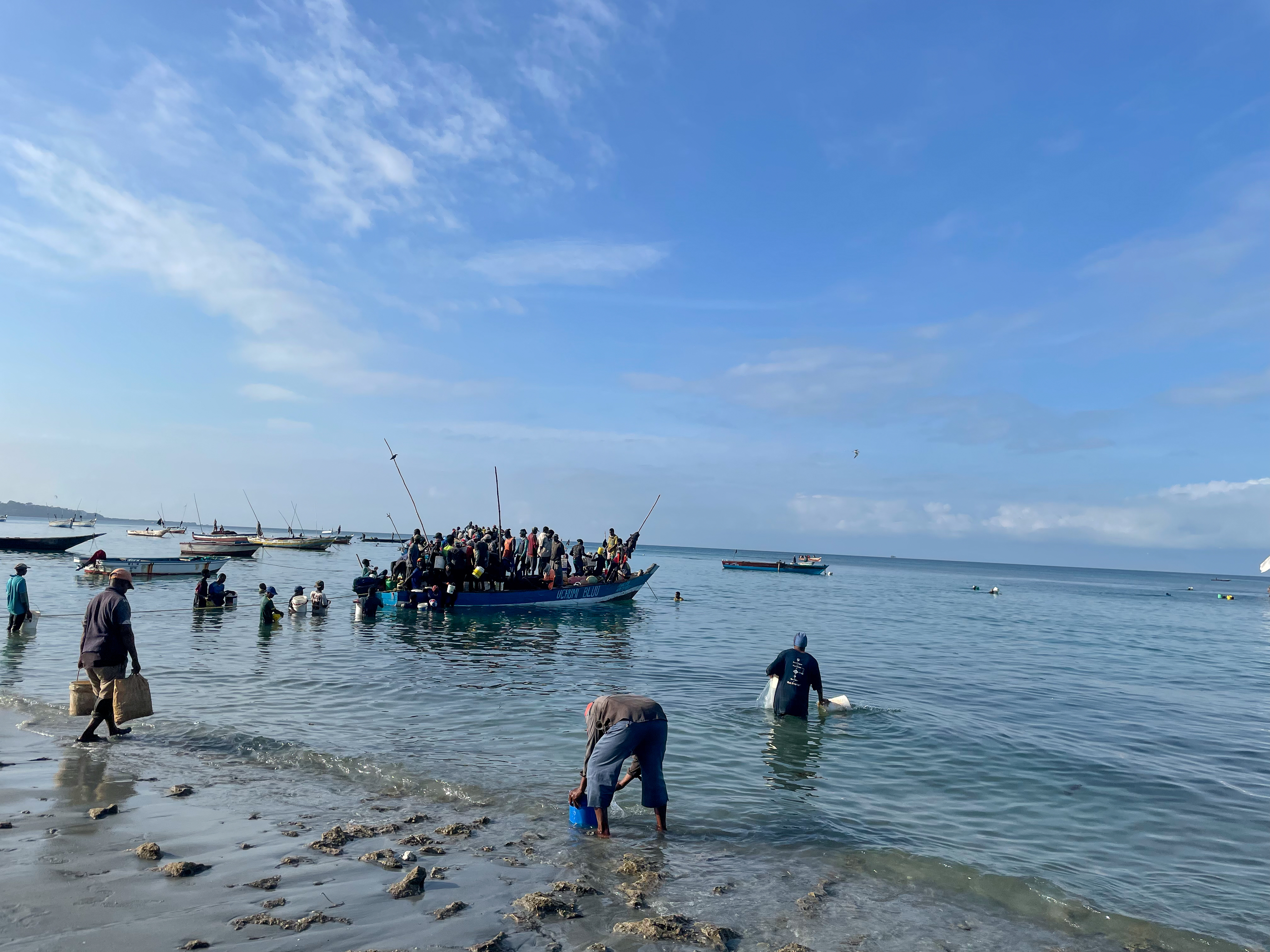 
Strand på Zanzibar