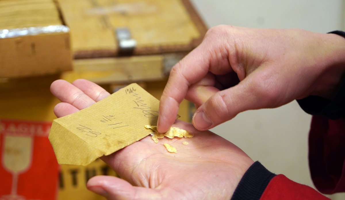 Ei hand med ein liten grå papirkonvolutt og tørka fiskeskjel som ser ut som små flak.