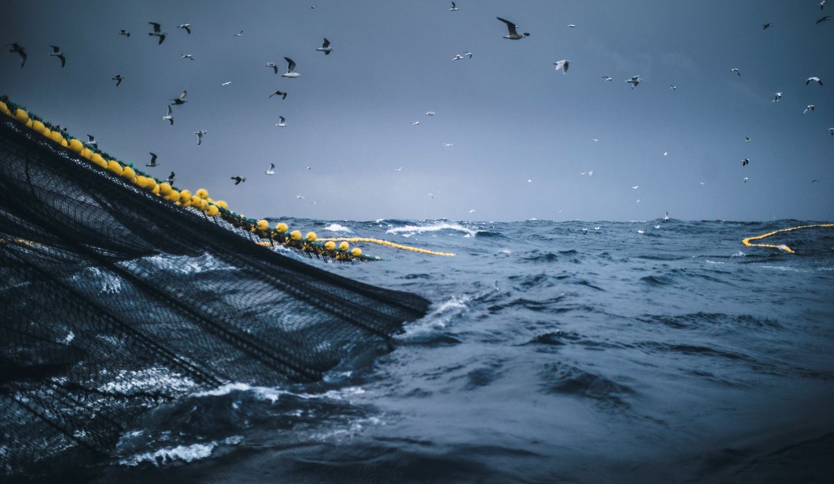 
Et bilde av havet og fiske. Havet rommer mange utfordringer, men også mange løsninger.
