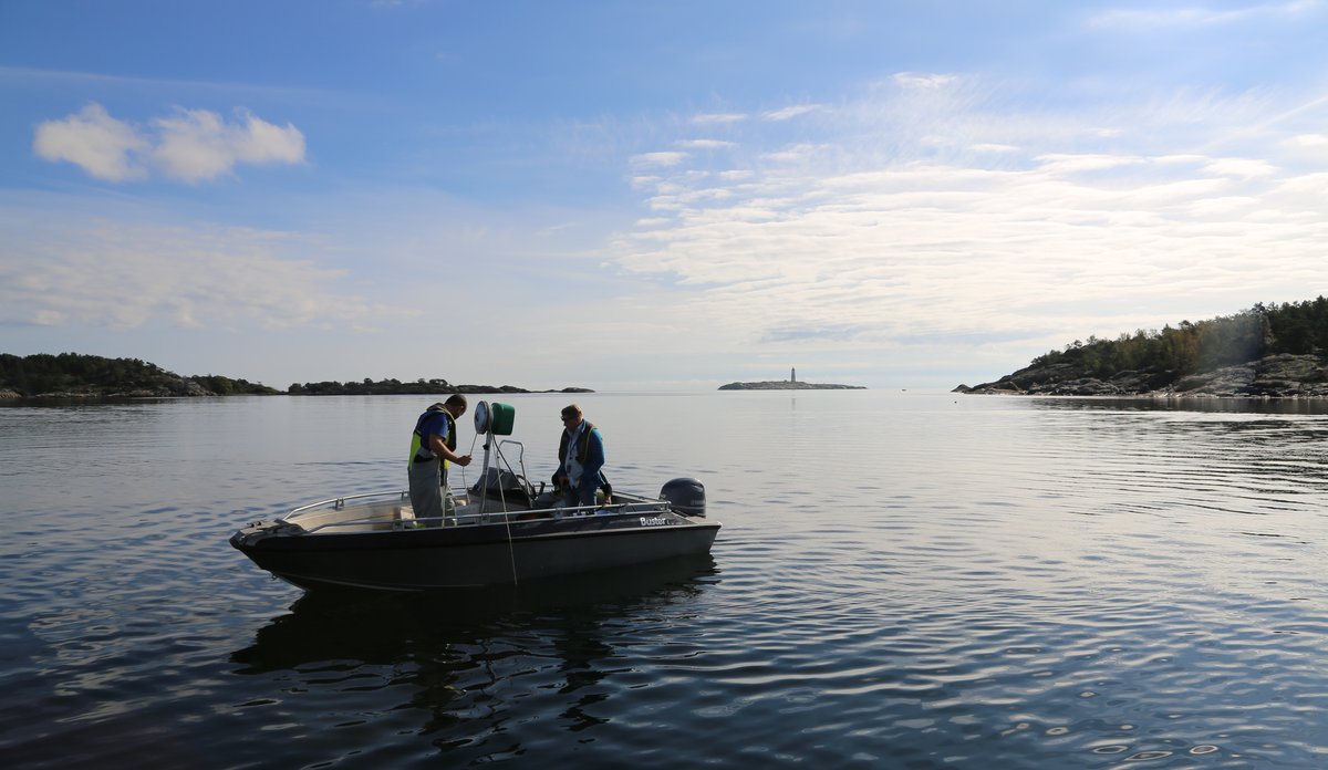 båt fisker etter hummer