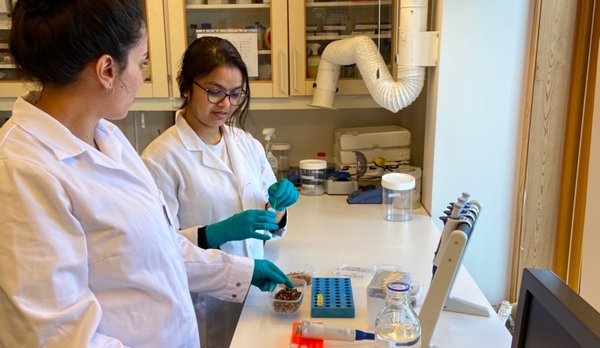 To kvinner i kvite labfrakkar på eit laboratorium.