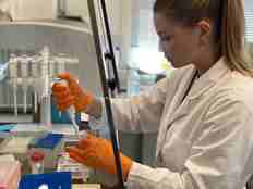 Overingeniør Ida Kristin Mellerud sjekker genetikken til ulike typer torsk. Foto: Liv Eva Welhaven Løchen / HI