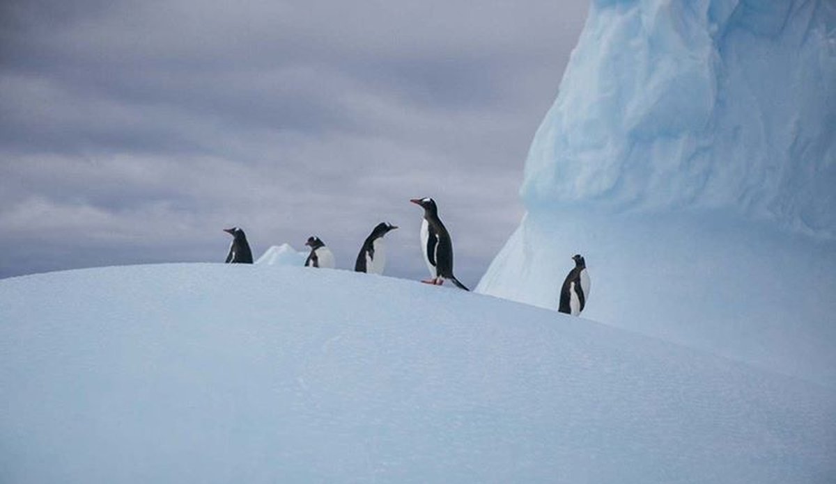 image00003