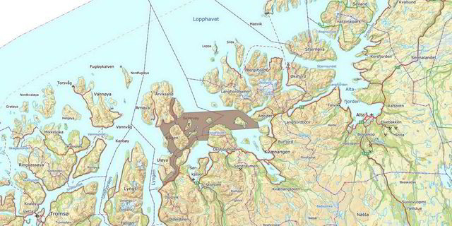 Bildet viser området havbunnen har blitt kartlagt