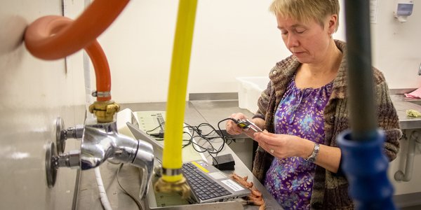 

kvinne holder reke inne på lab med mange fargerike ledninger og rør ned fra taket 