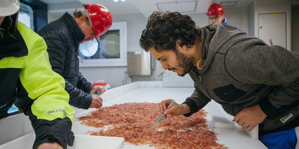 

taggete, snøkledde og spisse fjell i tåke i horisonten, blått bølgete hav fremst 