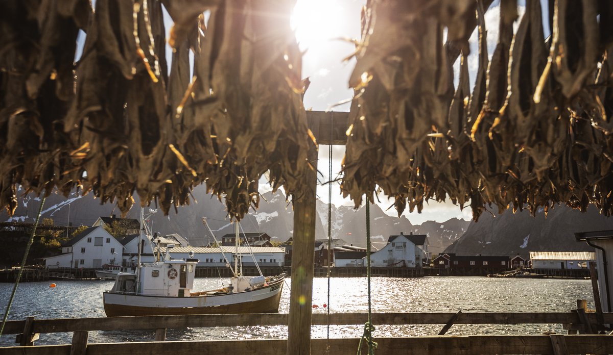 
Fiskebåt på sjø med tørrfiskhjeller foran