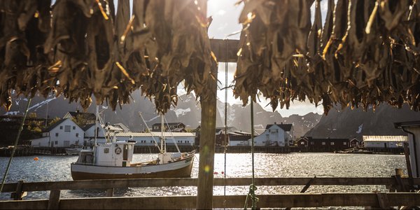 

fishing boat, stockfish and a small arctic village 