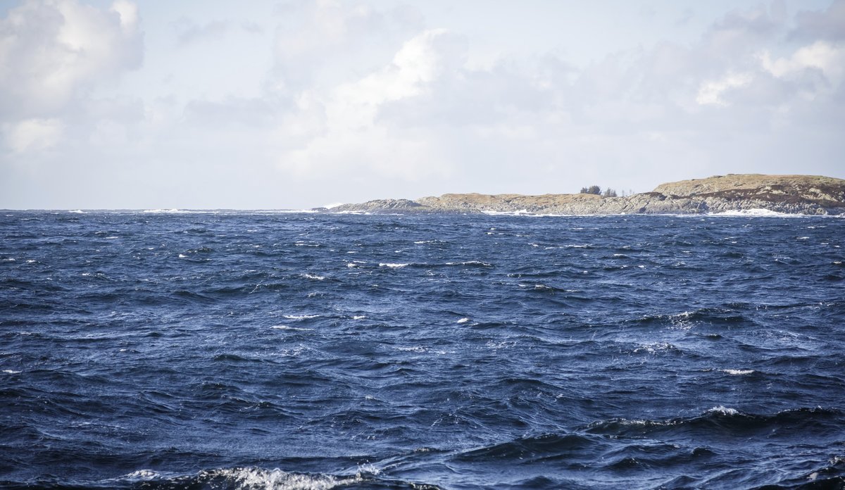 
kysten ved Bakkasundet i Austevoll