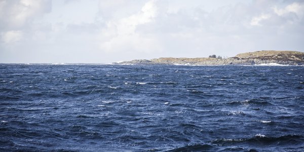 

kysten ved Bakkasundet i Austevoll