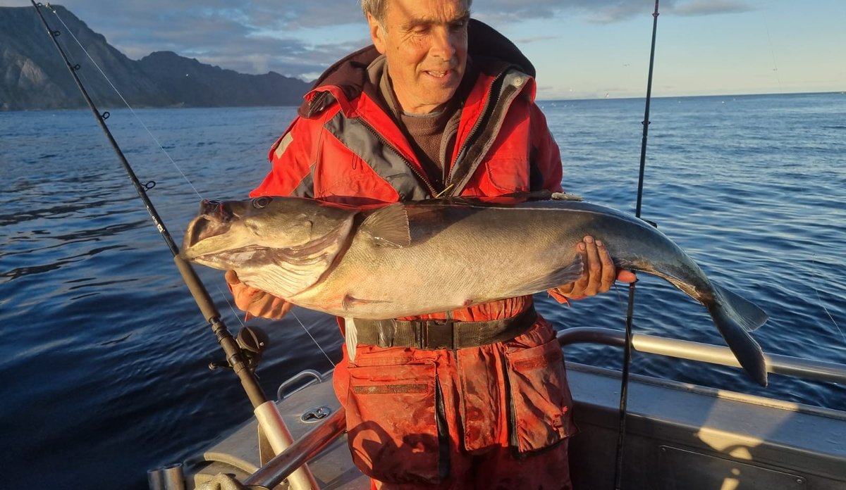 Fisketurist holder opp en merket storsei han fikk på kroken i Lofoten.