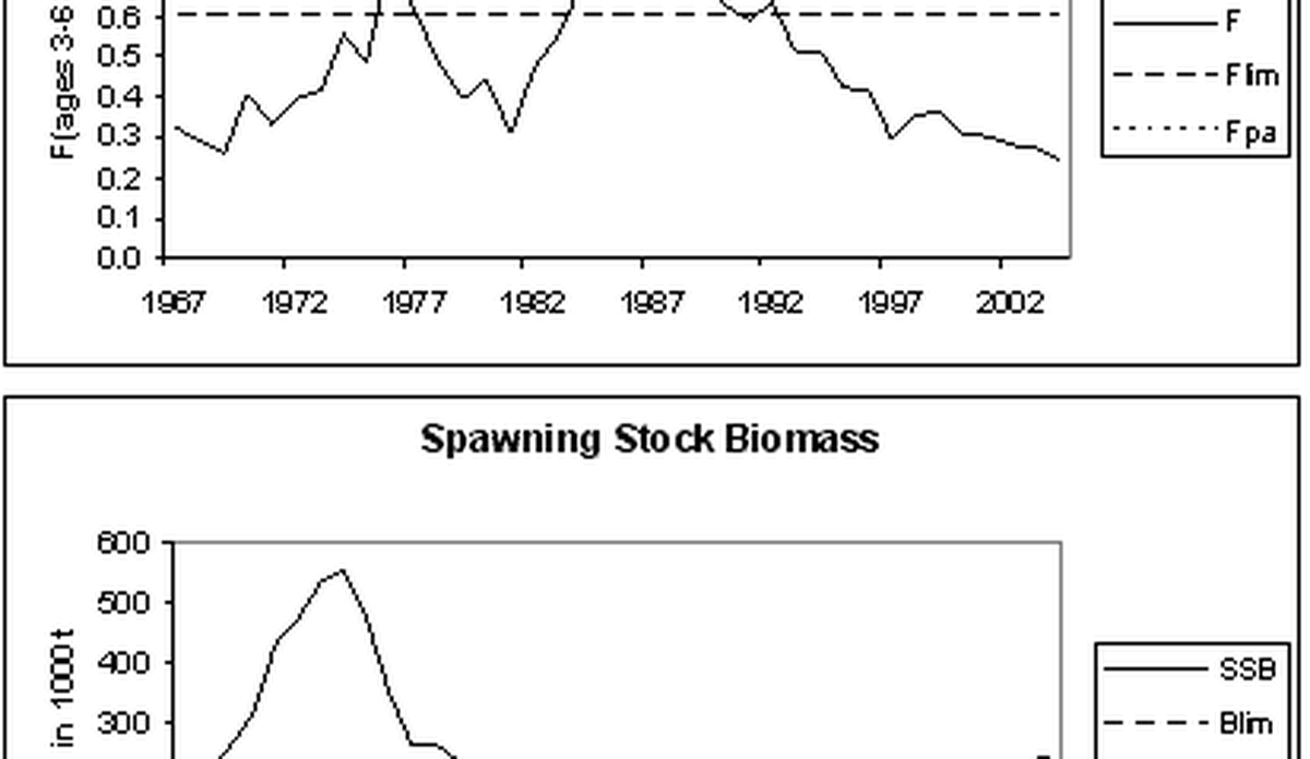 
Grafer som viser historisk utvikling i fiskedødelighet og gytebiomasse for sei