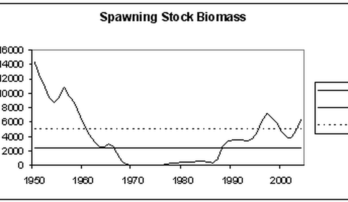 
Graf som viser historisk utvikling i gytebiomasse for sild
