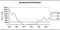 

Graf som viser historisk utvikling i gytebiomasse for sild