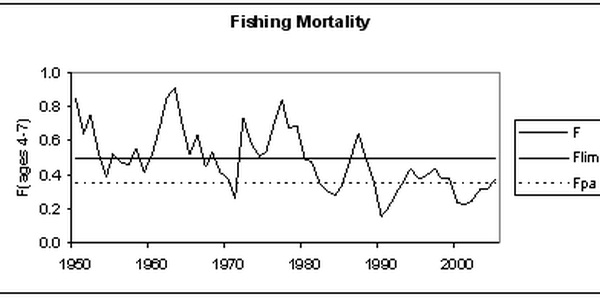 fiskedodelighet_hyse.gif