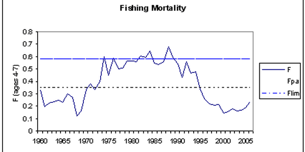 

fiskedodelighet sei