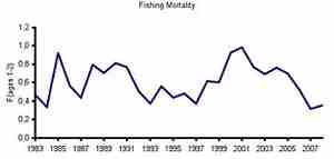tobis_fishing-mortality_350.jpg