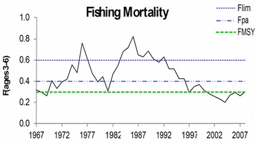 Fiskedodelighet.jpg