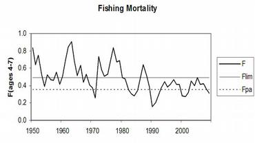 Fiskedodelighet_nordostarktisk_hyse.jpg