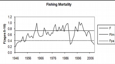 Fiskedodelighet_nordostarktisk_torsk.jpg