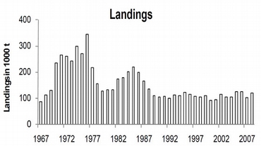 landingar.jpg