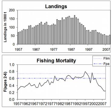 Rodspette_fangst_og_fiskedodelighet.jpg