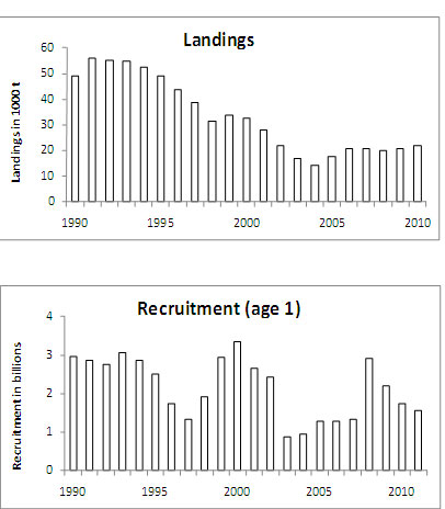 Landingar og rekruttering