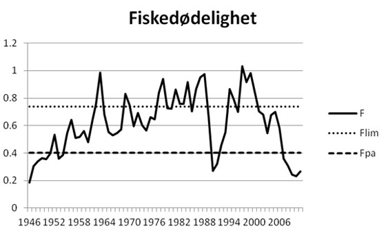 Fiskedødelighet