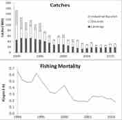 Fangst og fiskedødelighet