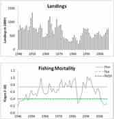 Landinger og fiskedødelighet for nordøstarktisk torsk
