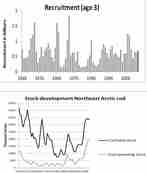 Rekruttering og bestandsutvikling nordøstarktisk torsk 
