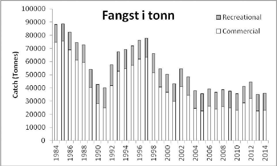 fangst_i-tonn.jpg