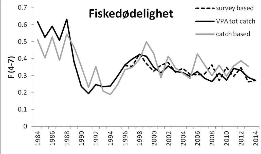 fiskedodelighet.jpg