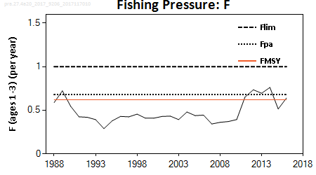 Fiskedødelighet