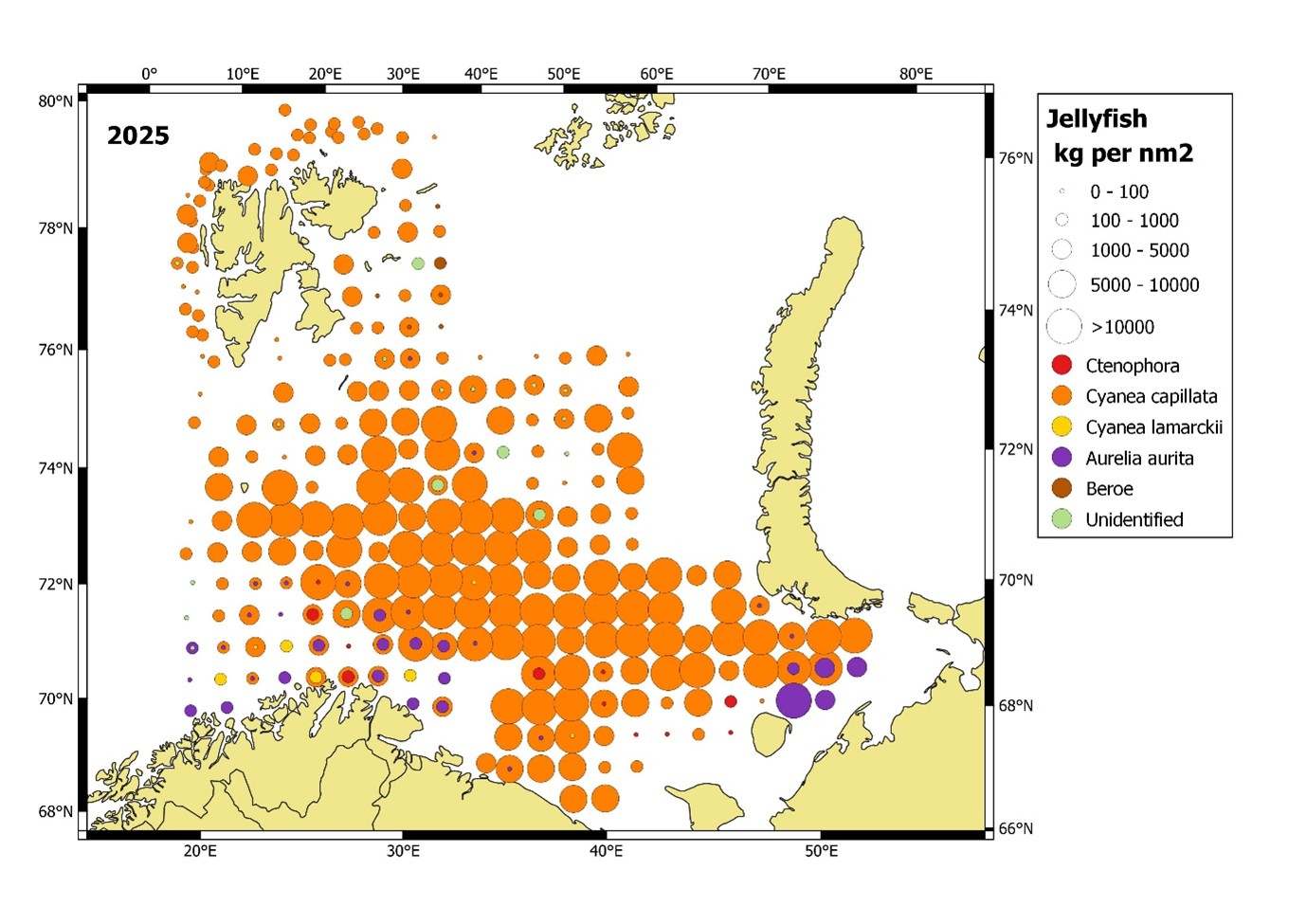 Figure 5.3.3.2. Distribution of jellyfish species (wet weight; kg per sq nmi) in the Barents Sea, August-October 2025.